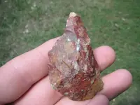 DSCF0461.webp