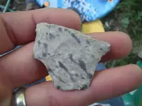 DSCF0458.webp