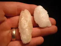 DSCF0463.webp
