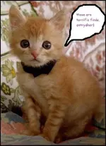 oh my.webp