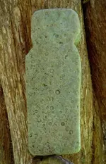 DSC04410.webp
