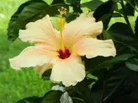 011.webp