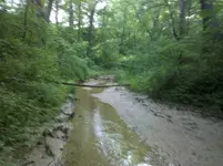 creek.webp
