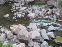 riverrock1.webp