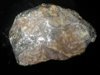 gal1.webp
