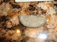 DSC00514.webp