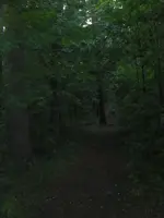 Trail.webp