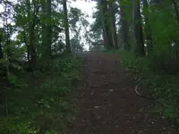 trail 2.webp