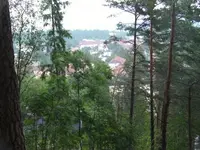 Picture out.webp