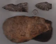Paleo1.webp