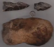 Paleo2.webp