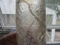 zeliebottle 001 (Small).webp