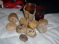 DSCF6446.webp