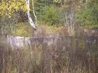 ruins.webp