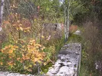 ruins2.webp