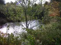 ruins4.webp