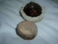 DSCF6448.webp