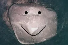 rockface.webp