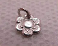 080606 charm.webp