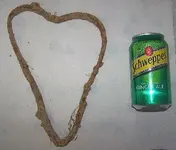 heart 1.webp