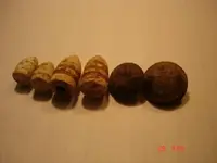 DSC00422.webp