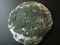 portlandtokenreverse.webp