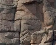 spanish face (Small).webp