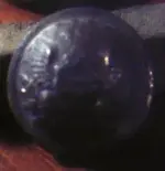 button001.webp