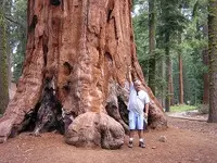 DSCN0776.webp