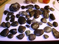 jade 011 resized 1.webp