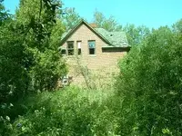 Brick from road.webp