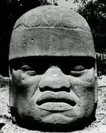 large head.webp