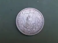 Silver Dollar.webp