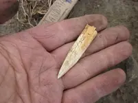IMG_1208.webp