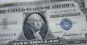IMG_0408 [320x200].webp