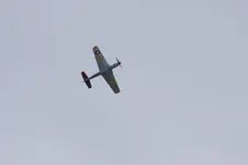 DSC_3006-c.webp