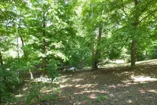 peaceful retreat.webp