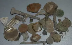05jun2011nut.webp
