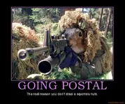 postal.webp
