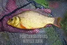 imagesCA1QB292.webp