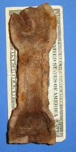 Mold1.webp