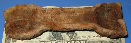 Mold2.webp
