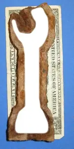 Mold5.webp