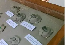 Fort St Joseph Rings.webp