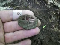 AUG 4TH CELLAR HOLE LC KNEE BUCKLE 005 [640x480].webp