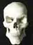avatar_16082.webp