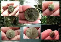 Rhode Island Findsed2.webp