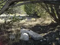 TrailPointer.webp