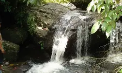 DSC09362.webp