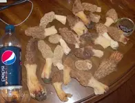 5162011 004.webp